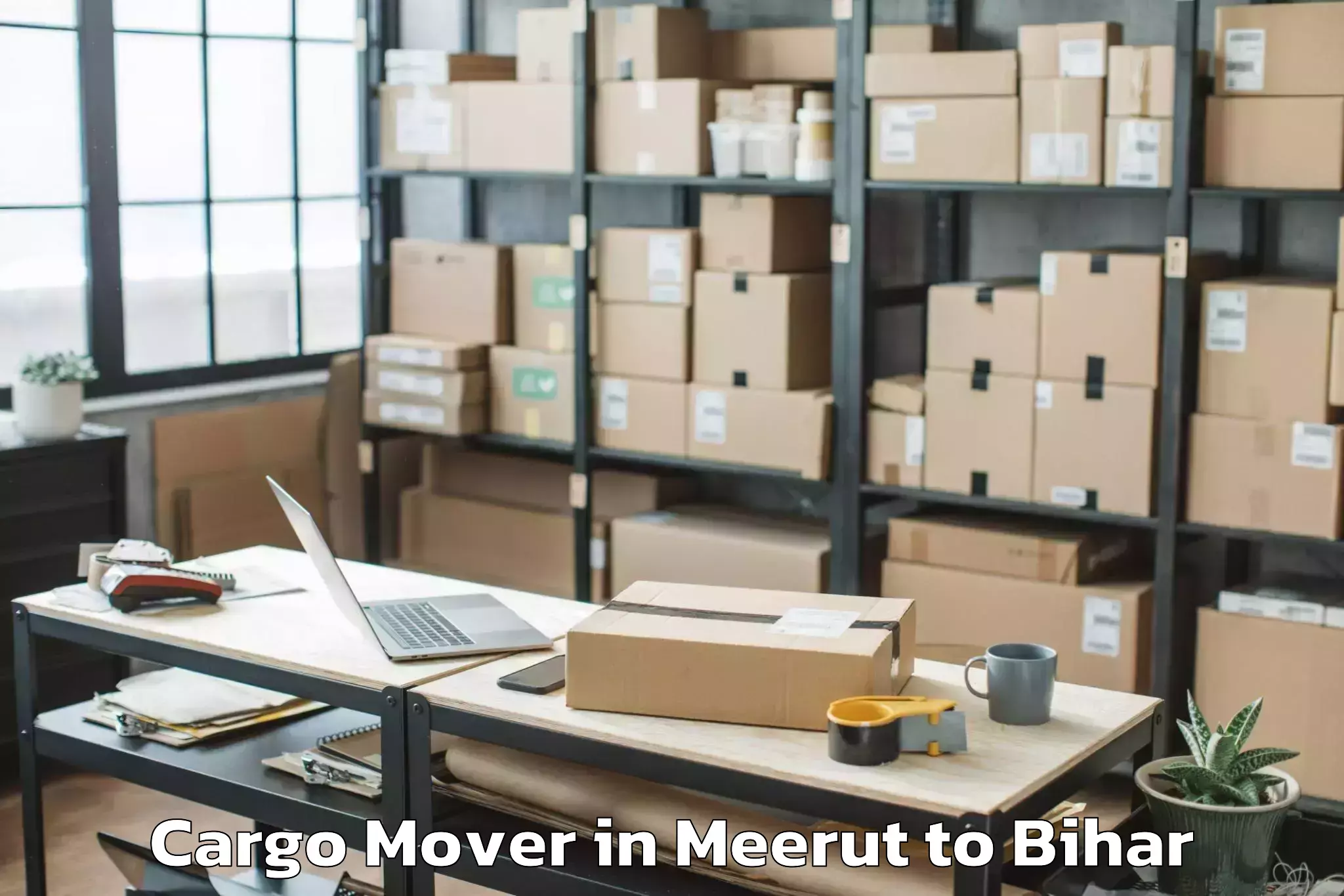 Leading Meerut to Bithan Cargo Mover Provider